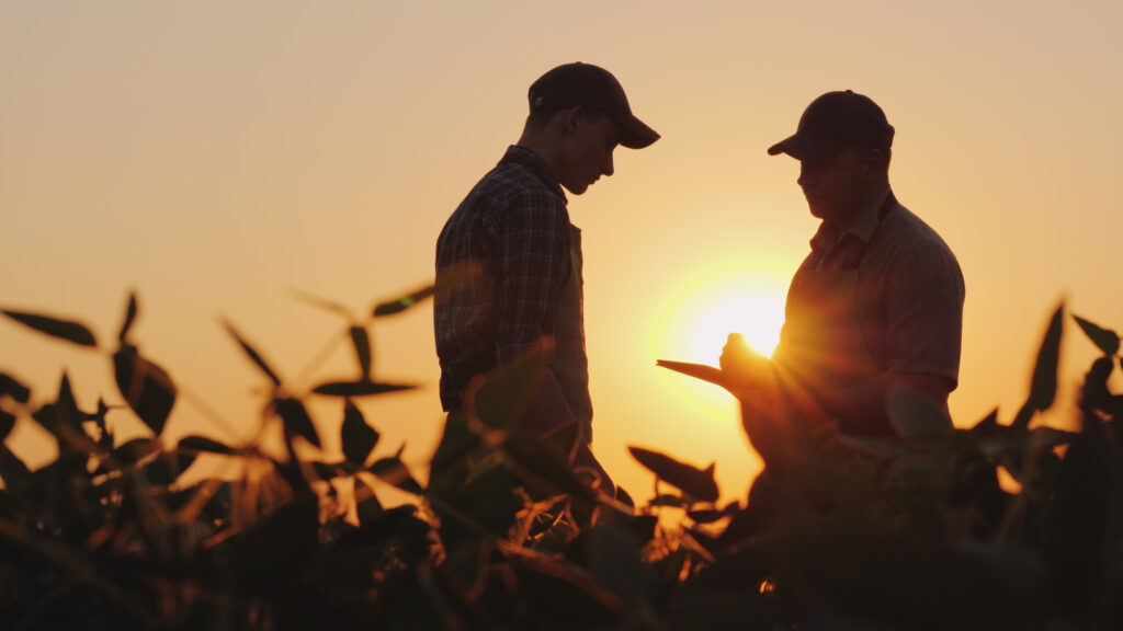 Two farmers talk in the field