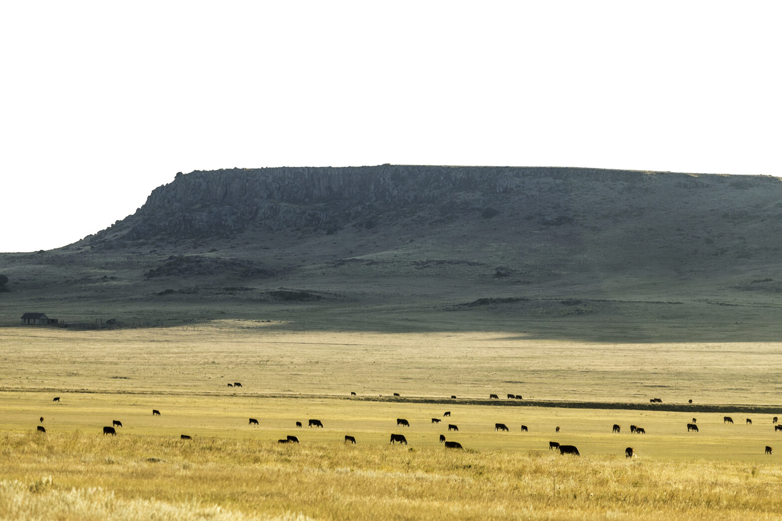 Video Blog: Enhancing Traditional Ranching Practices